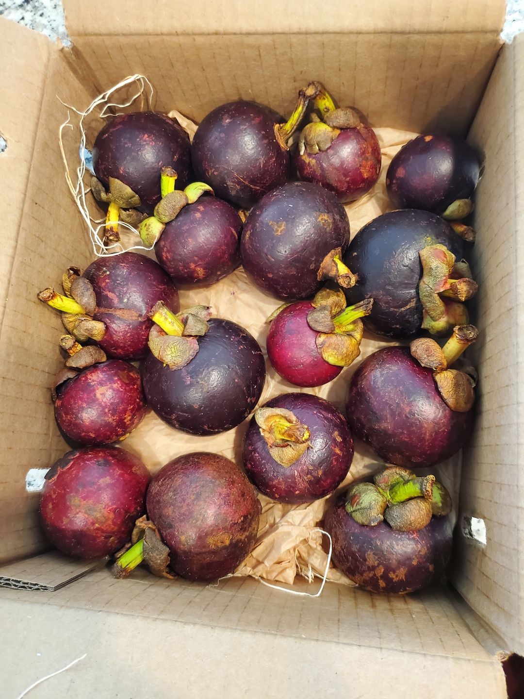 Customer photo review of Mangosteen Box