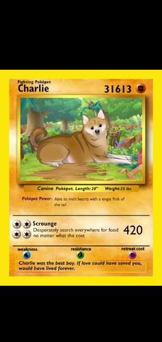 Customer photo review of PokePet Canvas