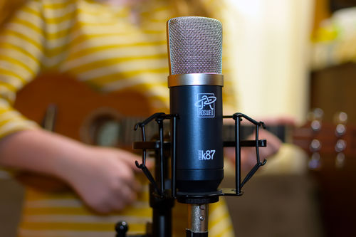 Customer photo review of Mini K87 Condenser Microphone