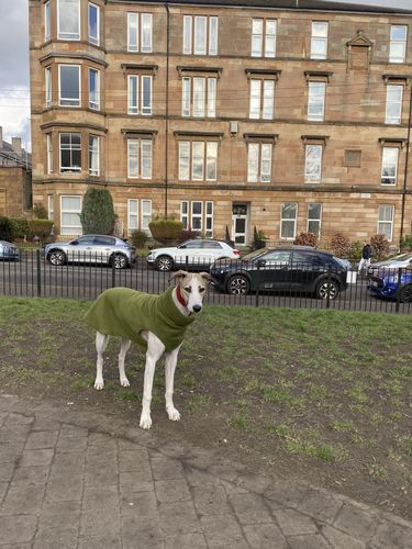 Customer photo review of Sighthound Sleeveless Fleece Sweater / Pullover / Jumper / Pyjamas