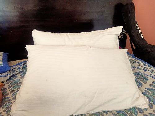 hush super soft plus pillow