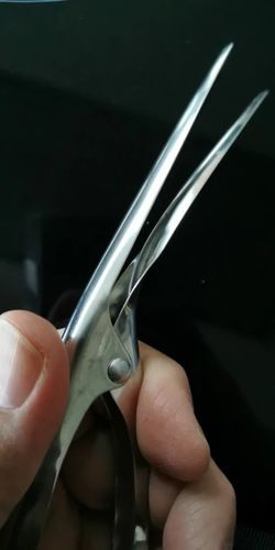 Customer photo review of Verdens smarteste rejepiller