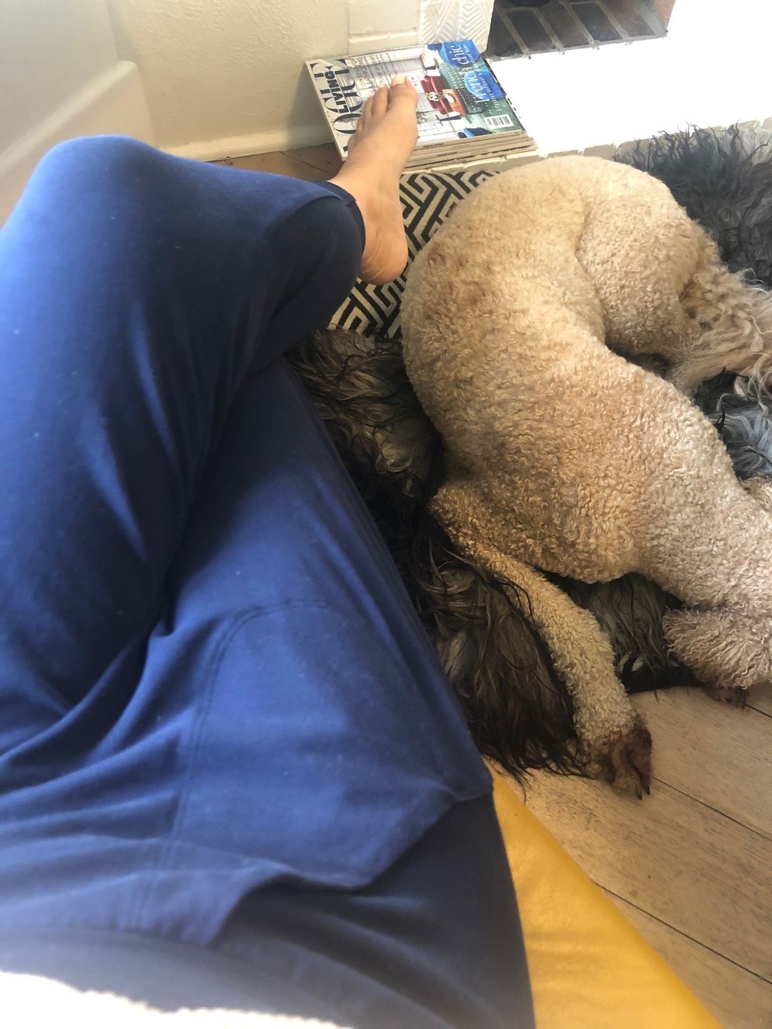 Customer photo review of Organic Cotton Slouchy Capri Pants