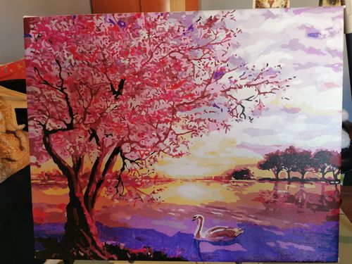 Customer photo review of Vida de los cisnes