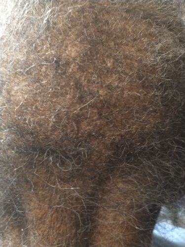 Customer photo review of Nae Nae's 9oz Hair Boost Special