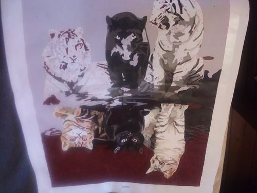 Customer photo review of Gatos soñando