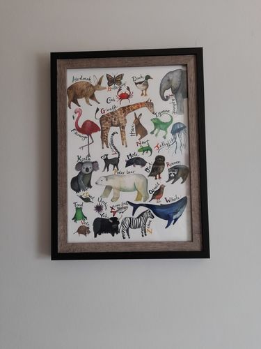 Customer photo review of The A-Z of Animals