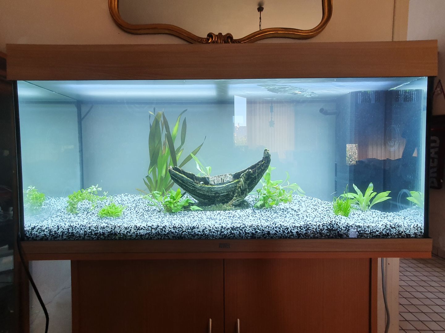 Customer photo review of Aquarium Rio 180 LED Chêne Équipé JUWEL - 180L