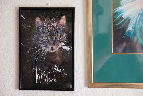 Customer photo review of Graffiti Pawtrait