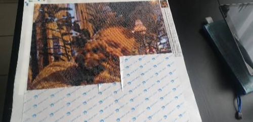 Customer photo review of Diamond Painting - Dein Wunschmotiv