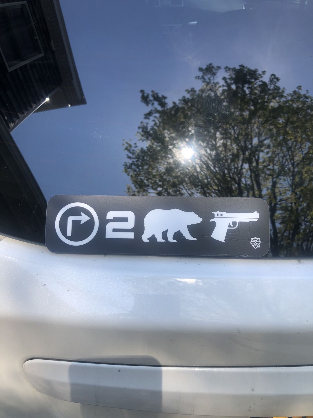Customer photo review of Right 2 Bear Arms Decal