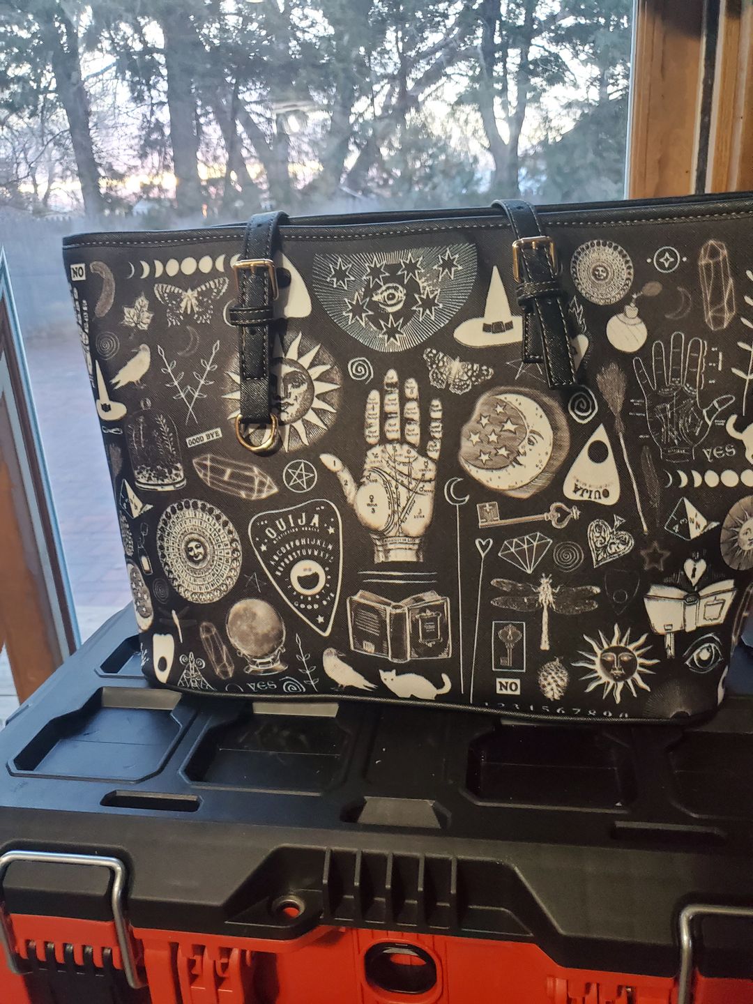 Customer photo review of Witch Please - Big Purse