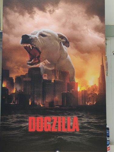 Customer photo review of 'Dogzilla' Personalized Pet Canvas