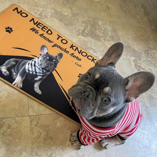 Customer photo review of Custom Dog Doormat