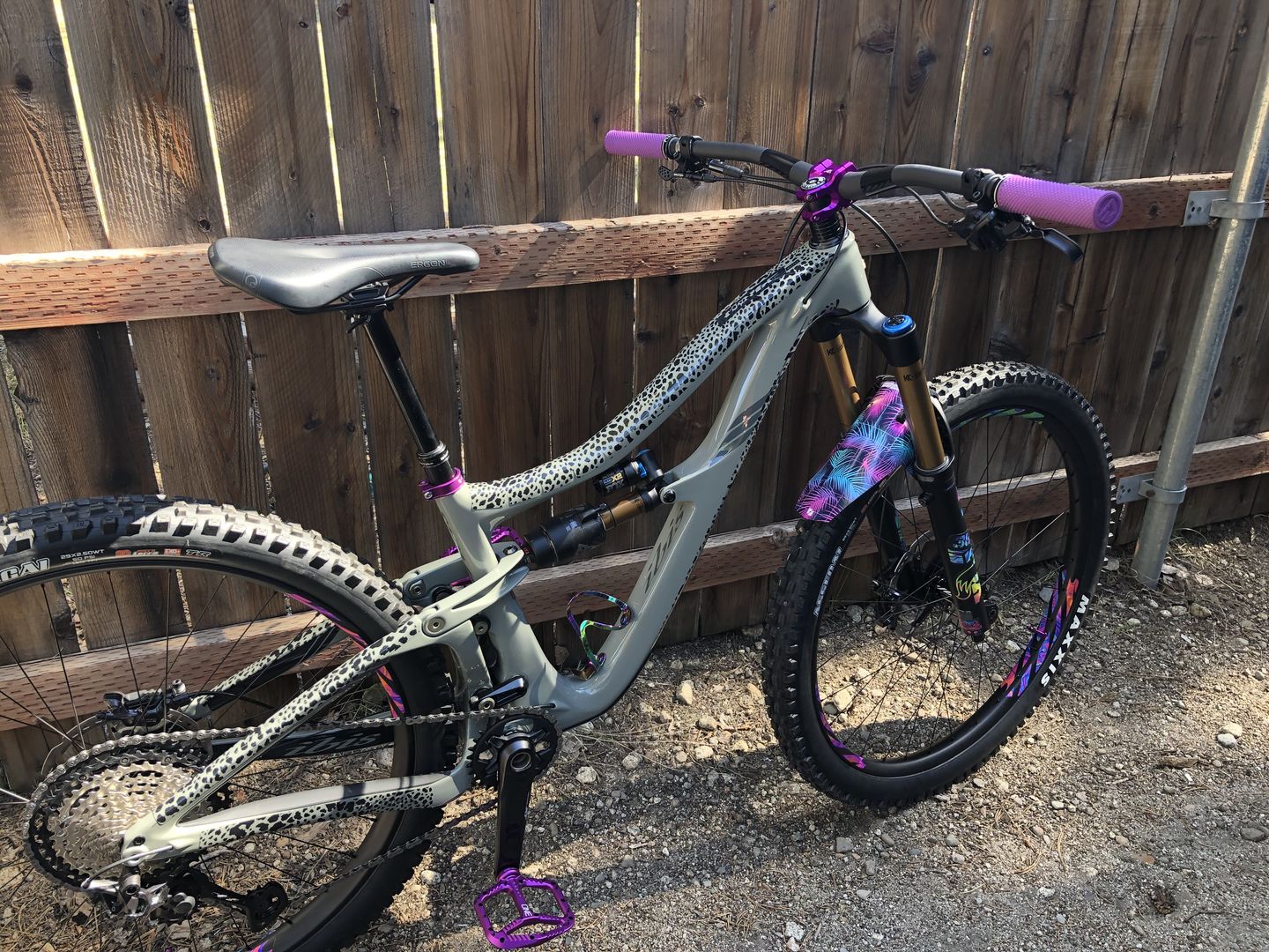 Customer photo review of Cheetah Frame Keeper
