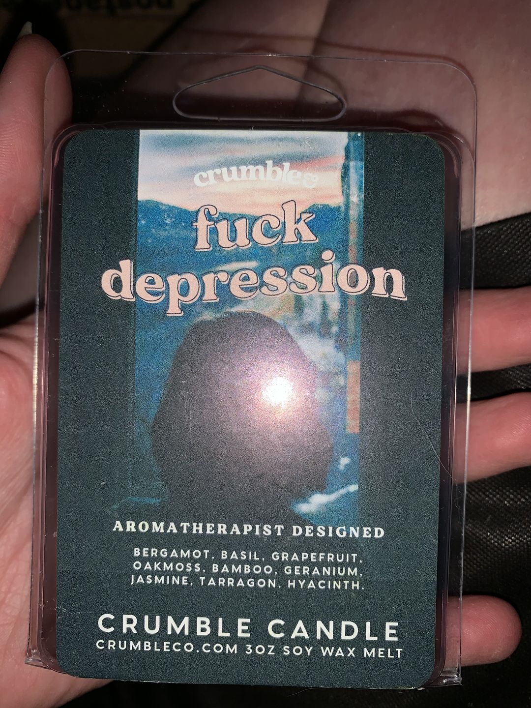 Customer photo review of Fuck Depression Wax Melts