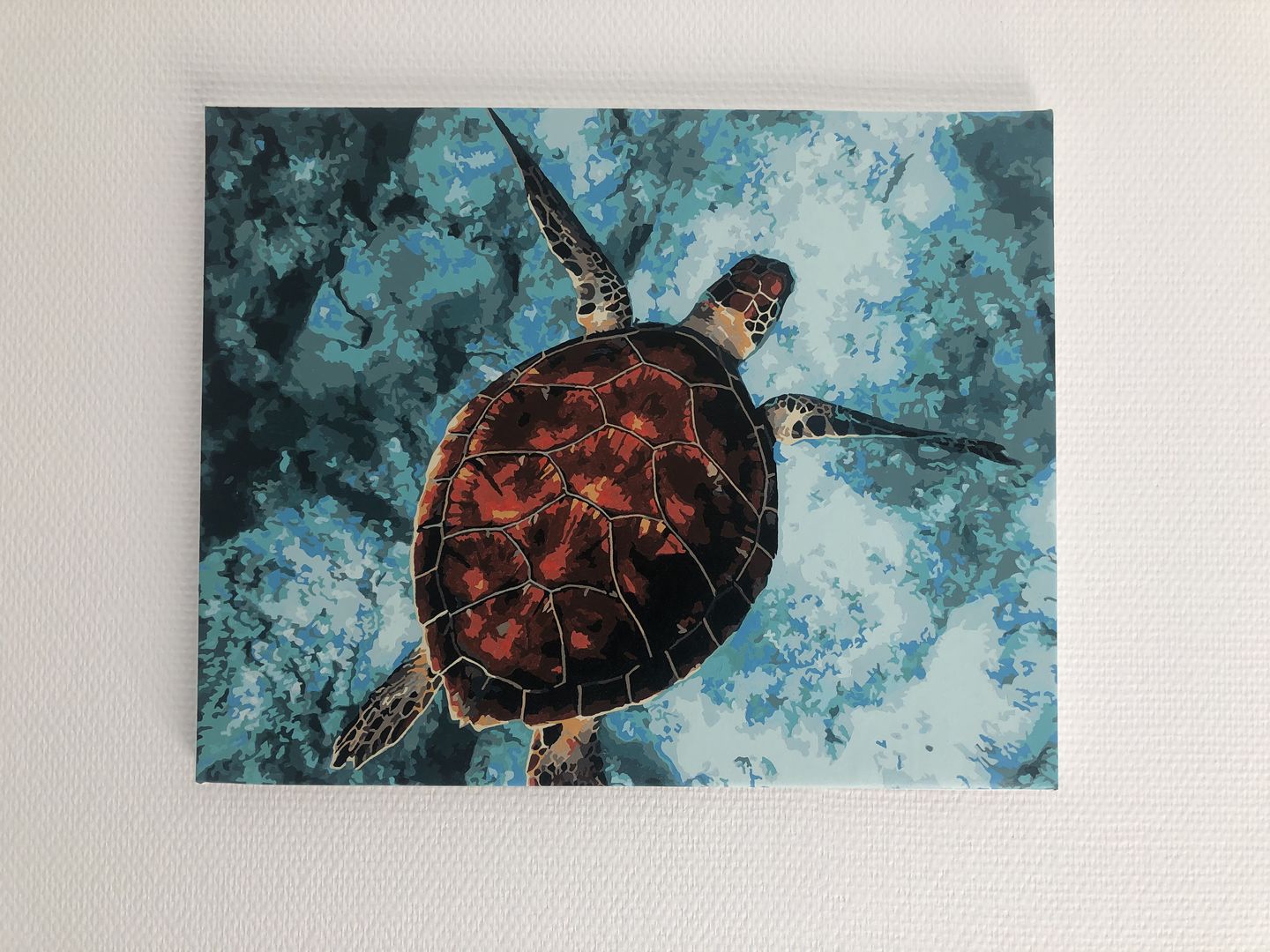 Customer photo review of SEA TURTLE