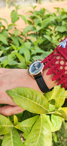 Customer photo review of Sveston Zazla 1.0.