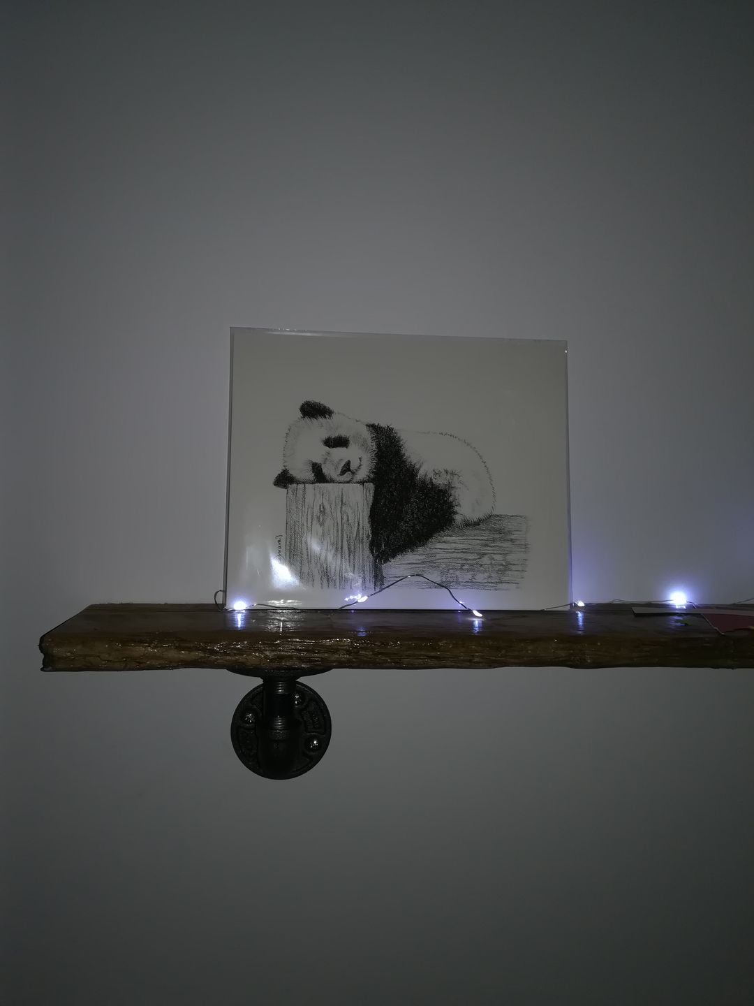 Customer photo review of Cute sleeping Panda