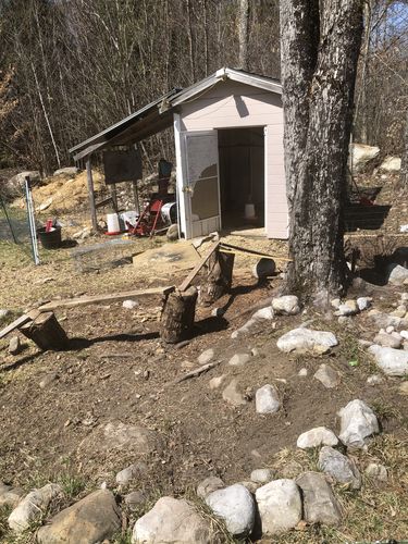 Customer photo review of GrubTerra Fresh Black Soldier Fly Larvae for Reptiles