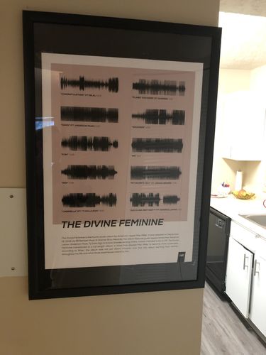 Customer photo review of "The Divine Feminine" by Mac Miller