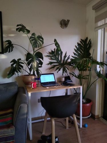 Customer photo review of Escritorio para computador MIMA 90 x 50 Blanco