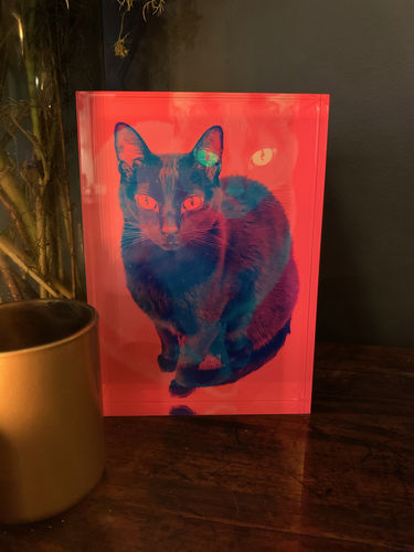 Customer photo review of 12.5 x 17.5 cm Free Standing Acrylic Photo Block