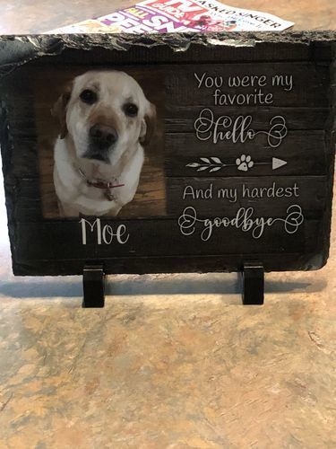 Customer photo review of Gift Wrap