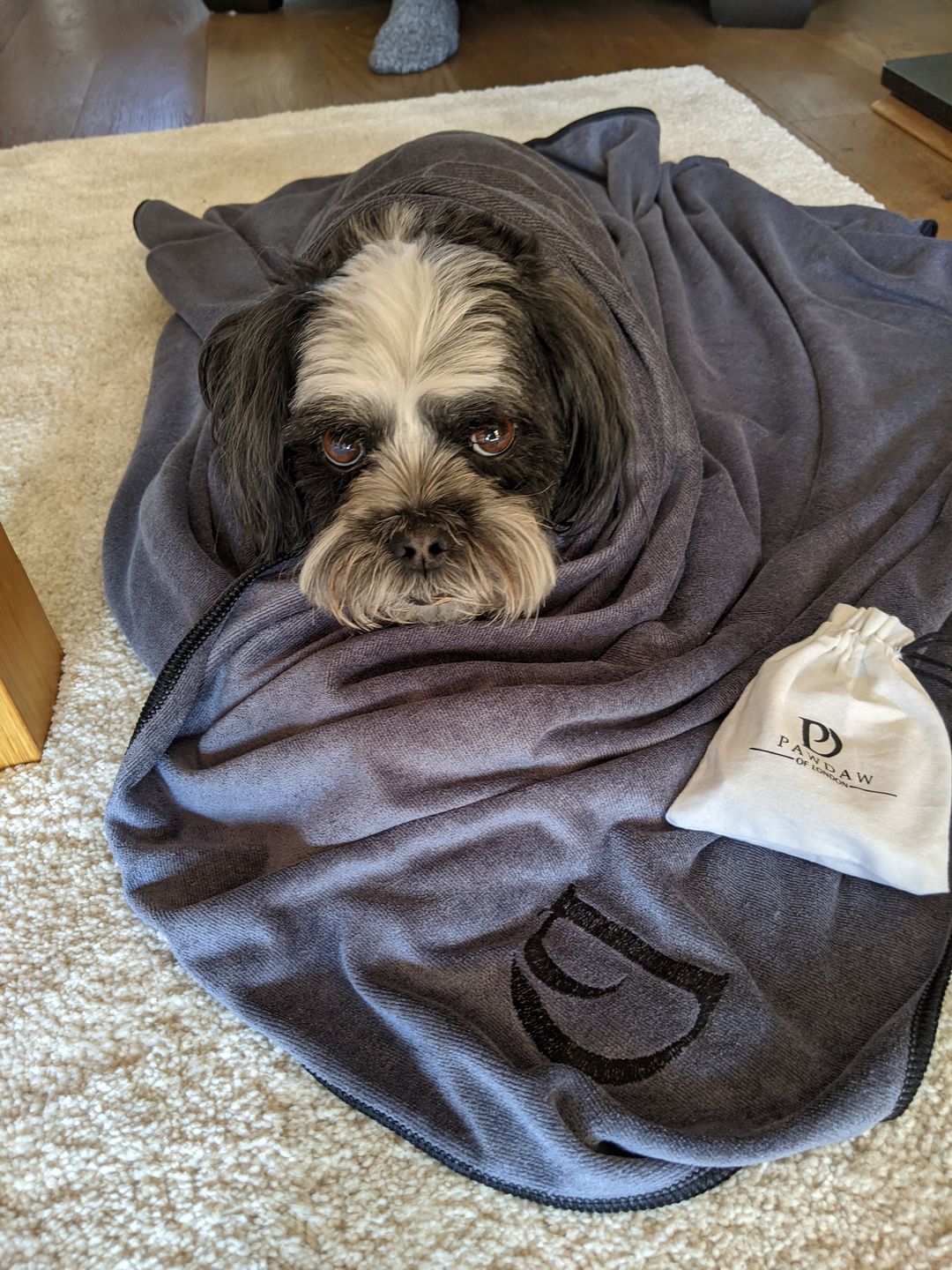 Customer photo review of Luxury Dog Towel