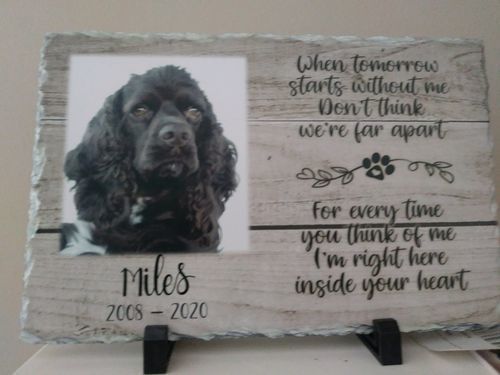 Customer photo review of Gift Wrap