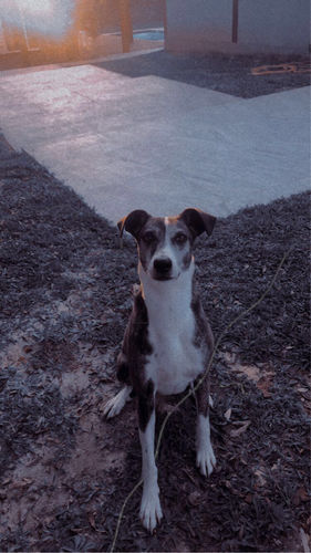 Customer photo review of Silber Lineart Love Halskette