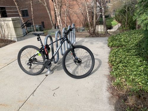 Customer photo review of Rendal Alloy Mountain Bike 29"