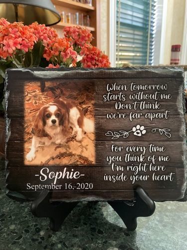 Customer photo review of Gift Wrap