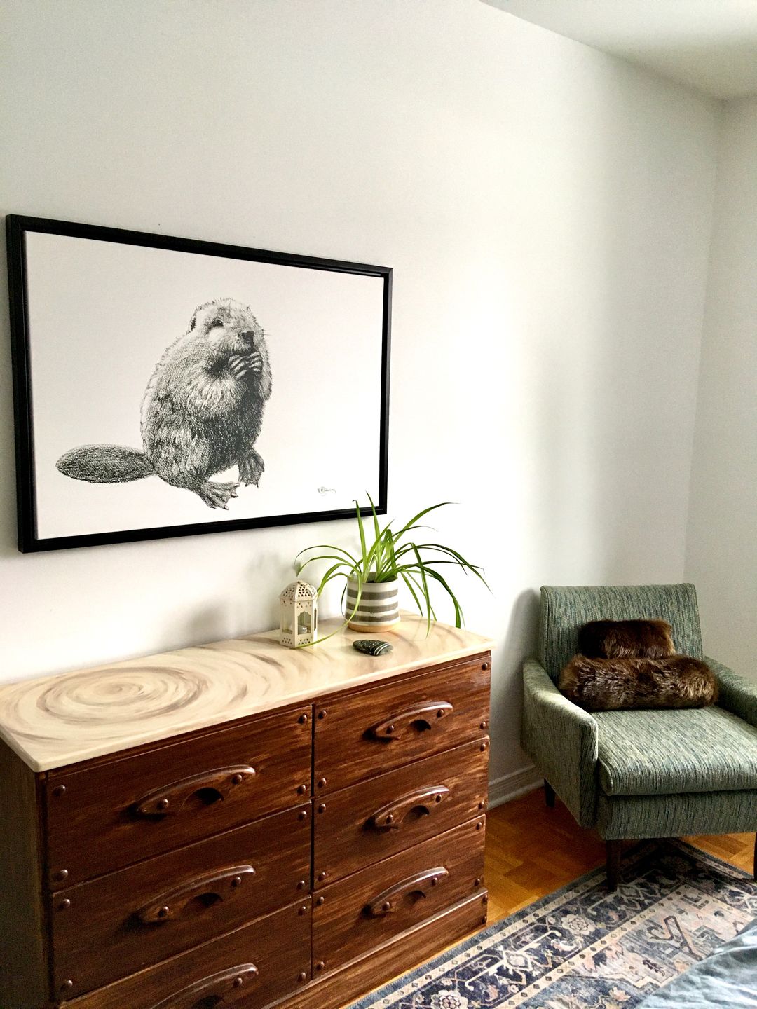Customer photo review of Beaver Illustration - "Social Animal" Collection