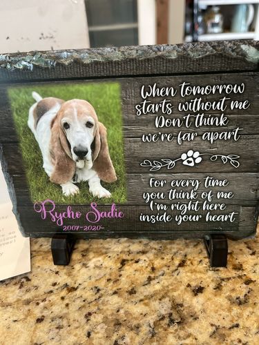Customer photo review of Gift Wrap