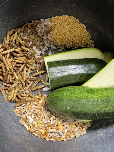 Customer photo review of BlackTasty™ Futtermittel aus Insekten