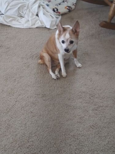 Customer photo review of No Longer by my Side Bracelet