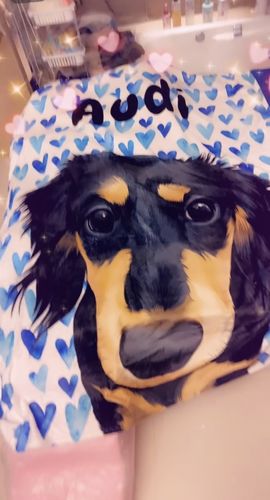 Customer photo review of 【客製】手繪寵物 法蘭絨毛毯 Custom Pet Fleece Blanket