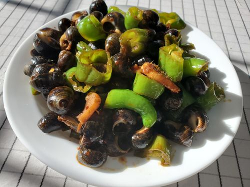 Customer photo review of River Snail 新鲜石螺 已剪尾处理 (1.5-1.8磅/LB)