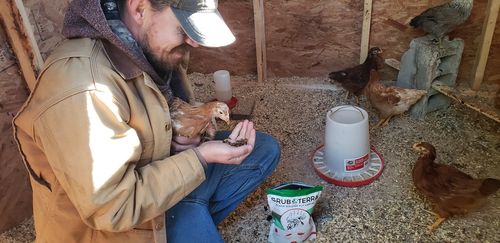 Customer photo review of GrubTerra Dried Larvae