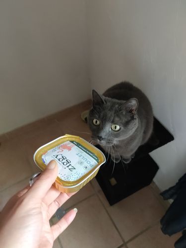 Avis photo d'un client sur Pâtée Chat Stérilisé Sans Céréales - Saumon