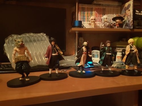 Customer photo review of Demon Killer Figure