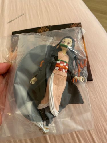 Customer photo review of Demon Killer Figure