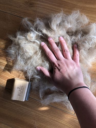 Customer photo review of Brosse Anti-Poils Chien, Chat, Cheval, Lapin | Original | Pilpoil®