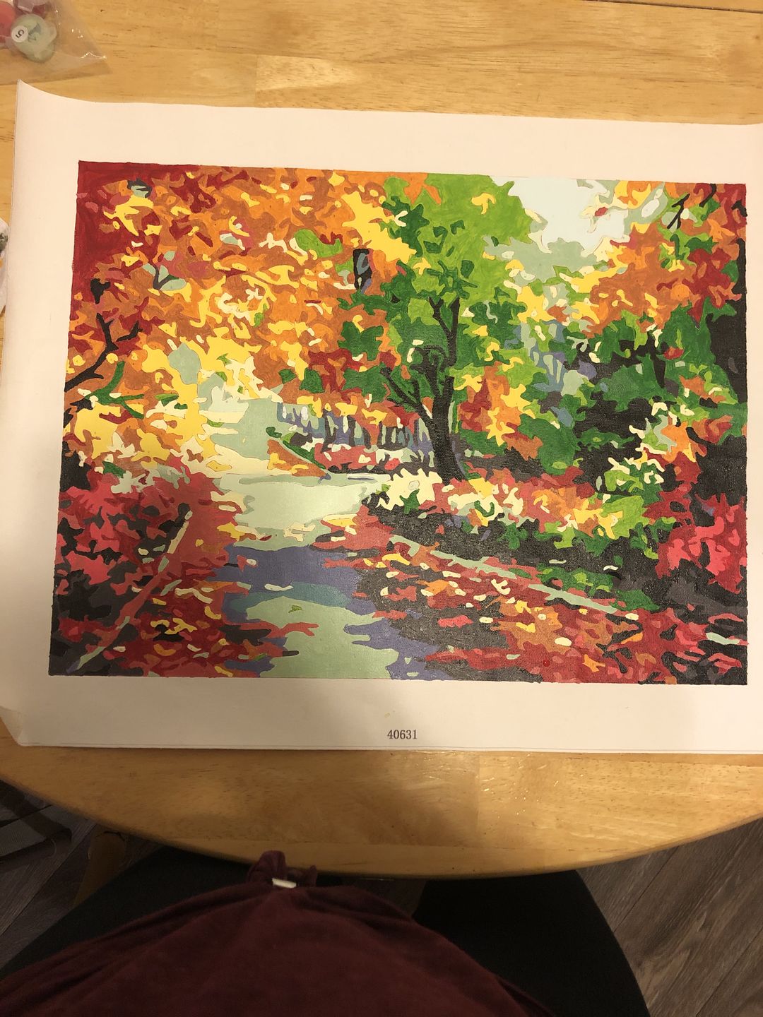 Customer photo review of FREE Paint By Numbers Kit