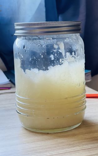 Customer photo review of Raw Wildcrafted Dried Sea Moss