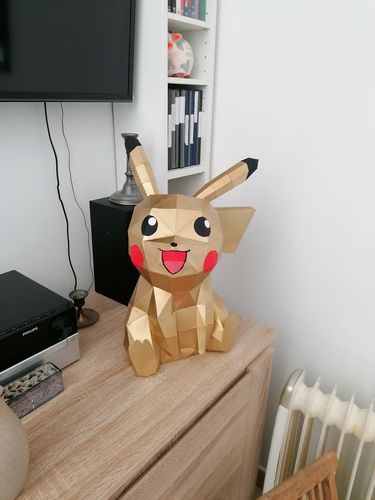 Customer photo review of Pikachu