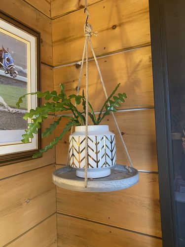 Customer photo review of 10" Signature Stone Hanging Tray