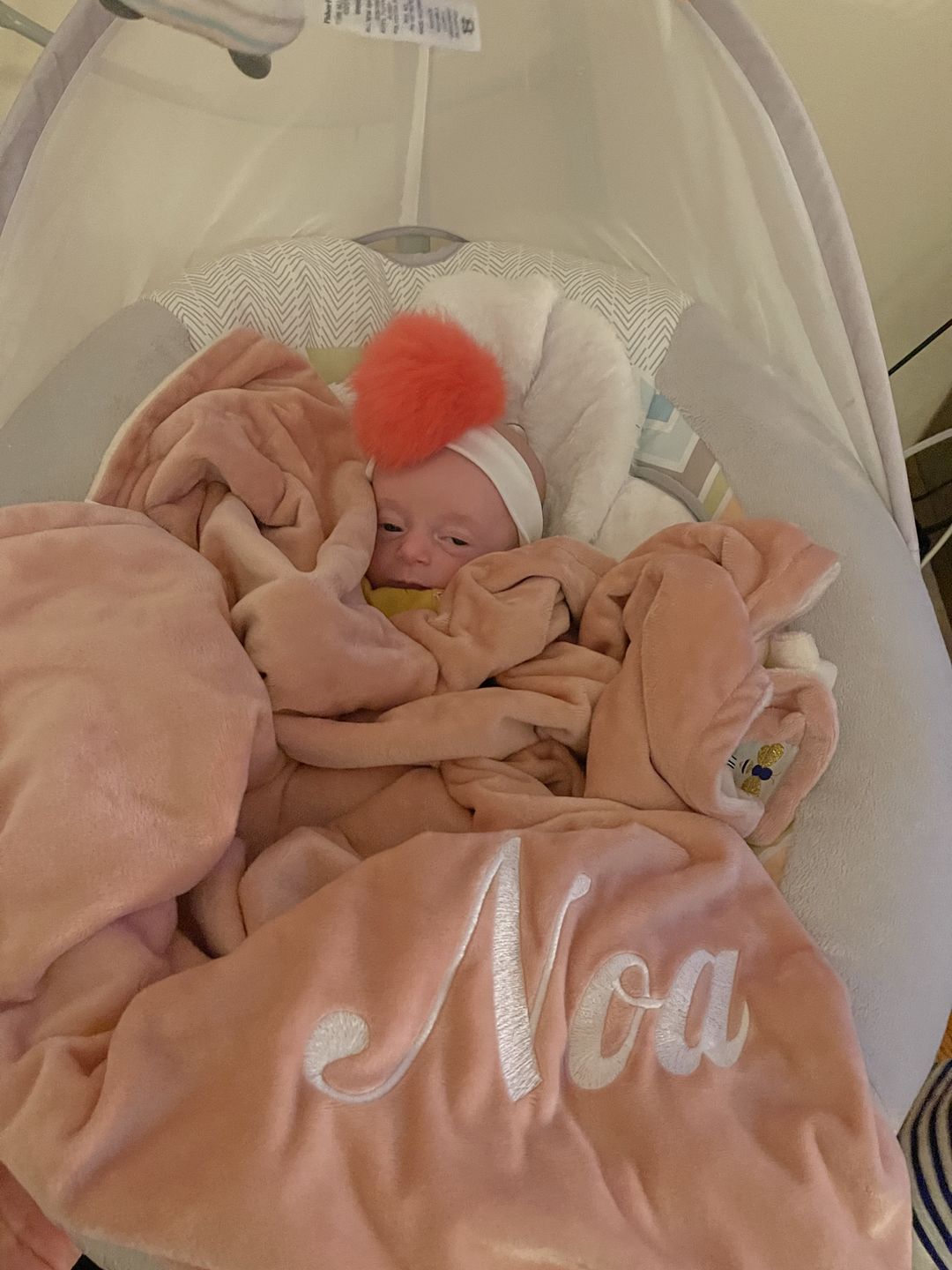 Customer photo review of Minky Bee Stroller Blanket Dusty Pink/Ivory