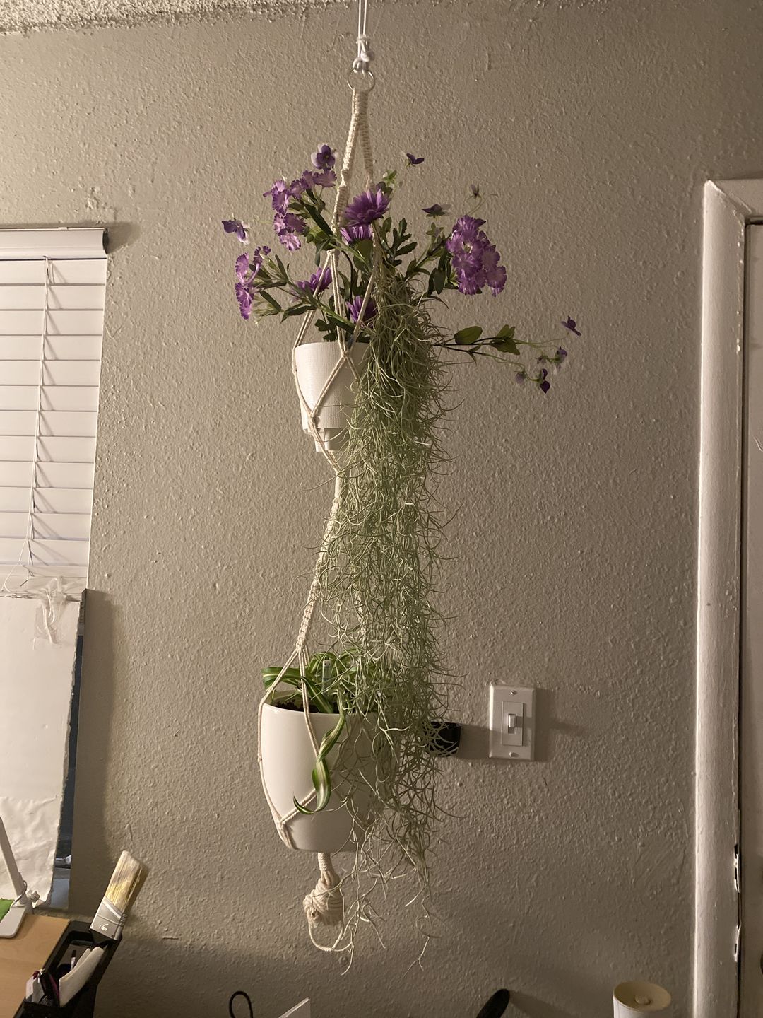 Customer photo review of Usneoides (Spanish Moss) White  On Hanging Wire!